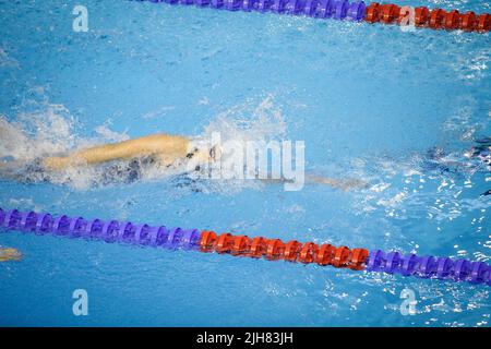 Artikeldetails mit einer professionellen Sportlerin, die in einem olympischen Schwimmbad schwimmend ist. Stockfoto