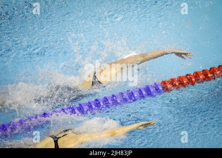 Artikeldetails mit einer professionellen Sportlerin, die in einem olympischen Schwimmbad schwimmend ist. Stockfoto