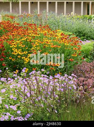 Inselbeete von winterharten Pflanzen dominiert von Echinops Helenium und Geranium bei Hauser und Wirth Bruton Somerset UK Stockfoto