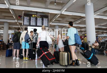 Palma, Spanien. 16.. Juli 2022. Reisende sehen sich die Anzeigetafel mit den Flugzeiten am Flughafen an. Am Wochenende (16./17.07.2022) werden mehr Flüge auf dem Flughafen von Mallorca durchgeführt als vor der Pandemie. Quelle: Clara Margais/dpa/Alamy Live News Stockfoto