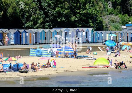 Shanklin, Großbritannien, 16.. Juli 2022. Besucher des kleinen Hope-Strandes in Shanklin an der Ostküste der Isle of Wight genießen das anhaltend heiße und sonnige Wetter, das am Montag und Dienstag der nächsten Woche den Höhepunkt erreichen wird. Kredit: Elfte Stunde Fotografie/Alamy Live Nachrichten Stockfoto