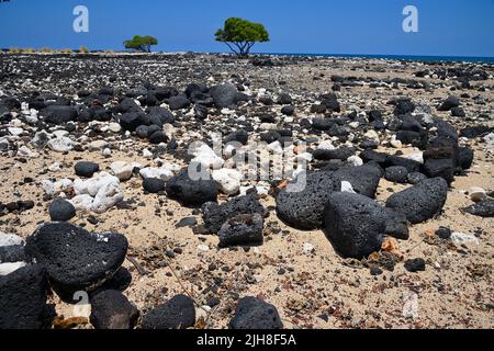 Mahai‘Ula Beach - ein berühmter Lavastrand nördlich von Kona Kailua, Kalaoa HI Stockfoto