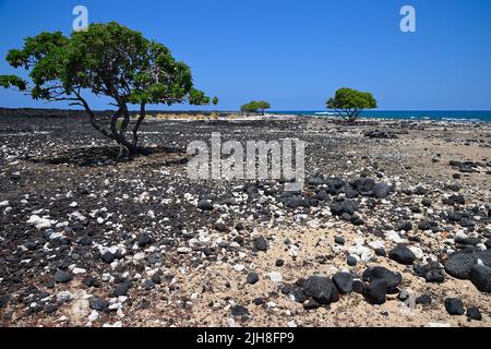 Mahai‘Ula Beach - ein berühmter Lavastrand nördlich von Kona Kailua, Kalaoa HI Stockfoto