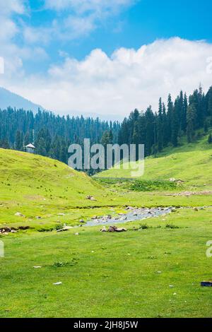 Gulmarg, im Volksmund bekannt als Mini-Schweiz vor allem, weil viele Wintersportarten dort gespielt werden, ist eines der am meisten besuchten Ziel in Kaschmir. Stockfoto