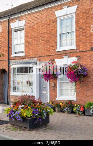 Hängeaufbewahrung mit Blumen auf Hausfassaden in der Stadt Bilovec, Worcestershire, UK Stockfoto