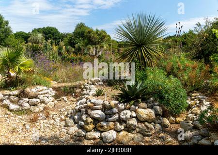 Desert Wash Garden, East Ruston Old Vicarage Garden, East Ruston, Norfolk, England, Großbritannien Stockfoto