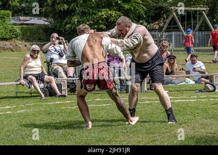 Newquay, Cornwall, Großbritannien. 16. Juli 2020. Teilnehmer der ersten Runde der Mens Open beim Grand Cornish Wrestling Tournament auf dem malerischen Dorfgrün von St. Mawgan in Pydar in Cornwall. Quelle: Gordon Scammell/Alamy Live News Stockfoto