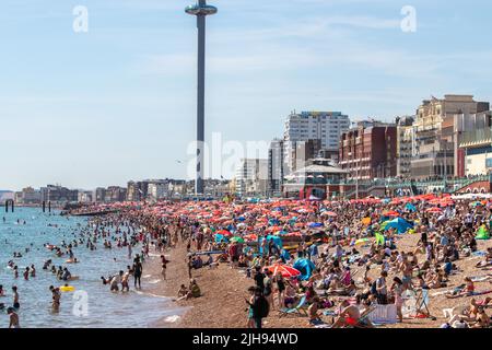 Tausende von Menschen strömten nach Brighton Beach, um das Beste aus der Hitzewelle zu machen, wo die Temperaturen in der Stadt diesen Samstagnachmittag 25C erreichten. Stockfoto