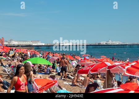 Tausende von Menschen strömten nach Brighton Beach, um das Beste aus der Hitzewelle zu machen, wo die Temperaturen in der Stadt diesen Samstagnachmittag 25C erreichten. Stockfoto