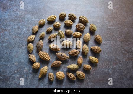 Rohe ganze getrocknete Terminalia-Chebula-Frucht Stockfoto