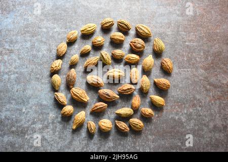 Rohe ganze getrocknete Terminalia-Chebula-Frucht Stockfoto