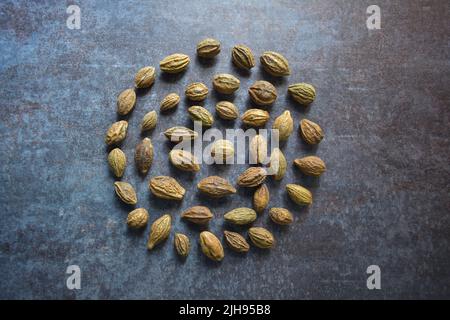 Rohe ganze getrocknete Terminalia-Chebula-Frucht Stockfoto