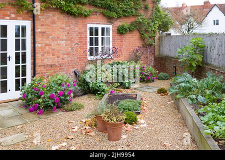 UK Garten des viktorianischen Landhauses im Herbst, mit Kies, York Stein Terrasse, Französisch Türen und Eiche Schlaf erhöhte Betten. Stockfoto