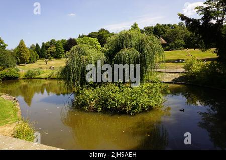 Teich im Golders Hill Park, London, Großbritannien Stockfoto