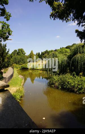 Teich im Golders Hill Park, London, Großbritannien Stockfoto