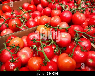 Frisches Essen. Rote saftige frische Bio-Tomaten im Supermarktregal. Stockfoto