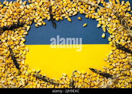 Maiskörner abd verbrannte Ähren von Weizen auf ukrainischer Flagge bawkground. Nahrungsmittelkrise 2022. Speicherplatz kopieren Stockfoto