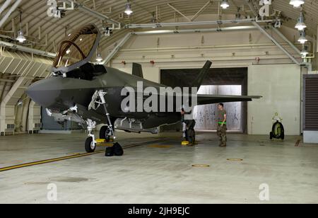 Capt. Steven ‘Magnum’ Trojan, 356. Expeditionary Fighter Squadron Pilot, führt eine Vorfluginspektion auf einem F-35A Lightning II auf dem Kunstan Air Base, Republik Korea, 12. Juli 2022 durch. Die F-35-Flugzeuge der US-Luftwaffe vom Luftwaffenstützpunkt Eielson, Alaska, kamen in die Republik Korea, um Trainingsflüge mit ROKAF durchzuführen, um die Interoperabilität zwischen den beiden Luftstreitkräften auf und um die koreanische Halbinsel zu verbessern. (USA Luftwaffe Foto von Senior Airman Shannon Braaten) Stockfoto