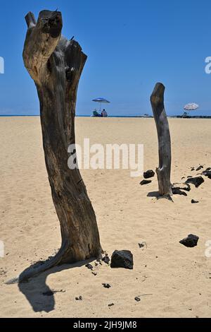 Mahai‘Ula Beach - ein berühmter Lavastrand nördlich von Kona Kailua, Kalaoa HI Stockfoto