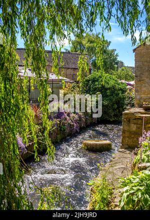 River Windrush fließt in Bourton auf dem Wasser, Gloucestershire, England. Stockfoto