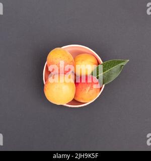 Orangefarbene Aprocots in Schale vor dunklem Hintergrund. Minimales Lebensmittelkonzept. Flach liegend. Stockfoto