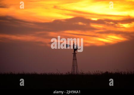 Windmühle bei Sonnenuntergang in der argentinischen Landschaft, Provinz Pampas, Patagonien, Argentinien. Stockfoto