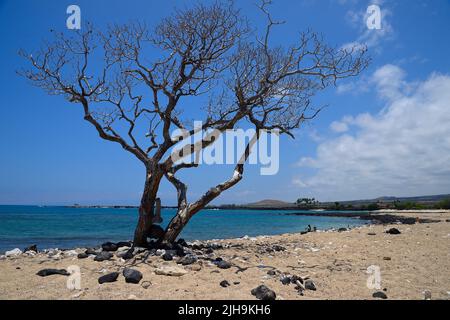 Mahai‘Ula Beach - ein berühmter Lavastrand nördlich von Kona Kailua, Kalaoa HI Stockfoto