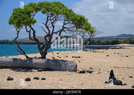 Mahai‘Ula Beach - ein berühmter Lavastrand nördlich von Kona Kailua, Kalaoa HI Stockfoto