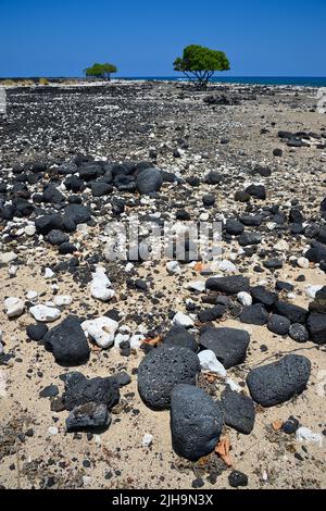 Mahai‘Ula Beach - ein berühmter Lavastrand nördlich von Kona Kailua, Kalaoa HI Stockfoto