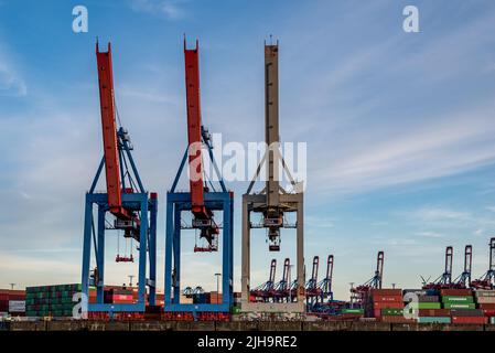 Hamburg, deutschland - 05 15 2022: Blick auf Containerkrane im Hamburger Hafen Stockfoto