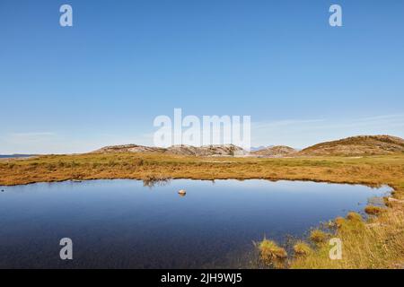 Landschaft eines Sees in der Nähe von Grasfeldern vor einem blauen Horizont mit Berghügeln. Ruhiges Wasser im Sumpfland an einem sonnigen Tag in der Nähe von Bodo in Norwegen Stockfoto