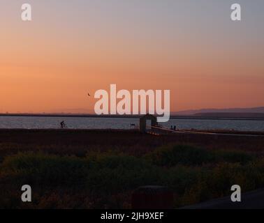 Alviso Marina County Park, ehemaliger Bootsanleger bei Sonnenuntergang, San Jose, Kalifornien Stockfoto