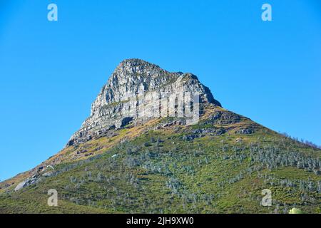 Lions Kopf Berg mit einem blauen Himmel und Kopierraum. Wunderschöne Aussicht auf einen felsigen Berggipfel, der von viel üppiger grüner Vegetation bedeckt ist Stockfoto