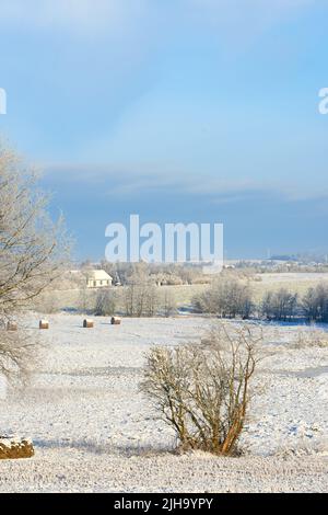 Strahlend weiße Schneelandschaft auf dem Land mit trockenen Sträuchern und blauem Himmel an einem kalten Wintertag. Gefrorenes Land im Freien in der Natur während der extremen Stockfoto
