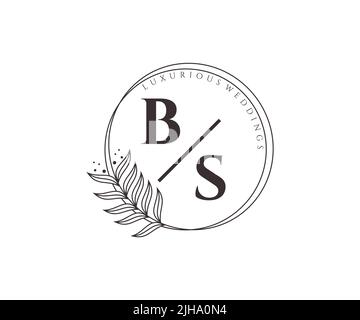 BS Initialen Brief Hochzeit Monogramm Logos Vorlage, handgezeichnete moderne minimalistische und florale Vorlagen für Einladungskarten, Save the Date, elegant Stock Vektor