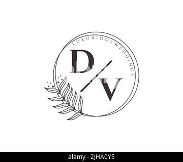 DV Initialen Brief Hochzeit Monogramm Logos Vorlage, handgezeichnete moderne minimalistische und florale Vorlagen für Einladungskarten, Save the Date, elegant Stock Vektor