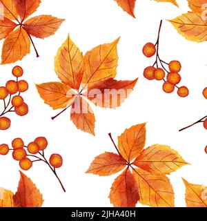 Aquarell handgezeichnetes nahtloses Muster mit rot orange gelben Herbstblättern, Ahorneiche Weinblatt. Oktober september Danksagehintergrund mit Waldbeeren Stockfoto