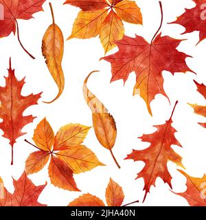 Aquarell handgezeichnetes nahtloses Muster mit rot orange gelben Herbstblättern, Ahorneiche Weinblatt. Oktober september Danksagehintergrund mit Waldbeeren Stockfoto