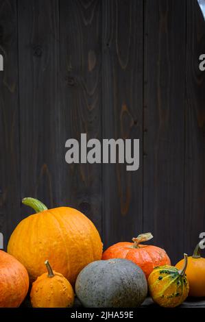 Kürbisse auf dunklem Holzhintergrund. Herbst halloween Ernte Danksagekonzept mit Platz für Text. Kürbiszusammensetzung Stockfoto