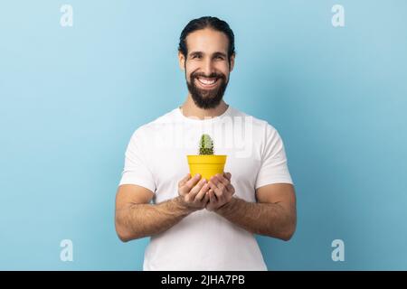 Porträt eines entzückten bärtigen Mannes in einem weißen T-Shirt mit gelbem Blumentopf und Kaktus, der mit einem Lächeln auf die Kamera schaute, Innenaufnahme auf blauem Hintergrund. Stockfoto