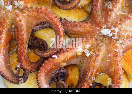 Kleiner Oktopus mit Kartoffeln und Gewürzen Stockfoto