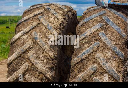 Schmutzige Doppelräder der Landwirtschaft Traktor an sonnigen Sommertag Stockfoto