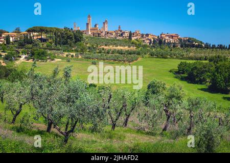 Berühmte San Gimignano mit fantastischen Türmen auf dem Hügel. Tolles Stadtbild mit Olivenplantagen in der Toskana, San Gimignano, Italien, Europa Stockfoto