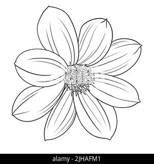 Dahlia Blumendarstellung. Botanische Briefmarkenlinie Kunstdesign, Stockfoto