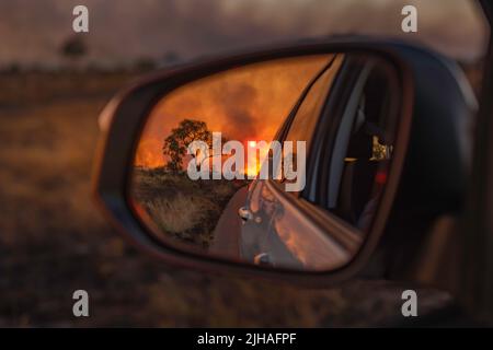 Feuer im Veld - Kruger Park zurück brennen- Rückspiegel Ansicht Stockfoto