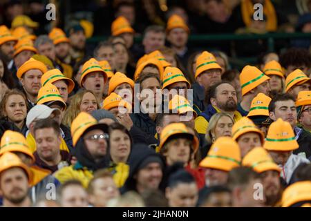 SYDNEY, AUSTRALIEN - 16. JULI: Wallabies-Fans sehen sich während des dritten Spiels der Internationalen Test-Match-Serie zwischen den australischen Wallabies und England beim SCG am 16. Juli 2022 in Sydney, Australien an.Quelle: IOIO IMAGES/Alamy Live News Stockfoto