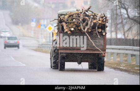 Traktor mit Anhänger, der bei Schneefall mit Holz auf der Straße beladen ist. Transport von Brennholz für die Heizung eines Landhauses. Holzanhänger. Stockfoto