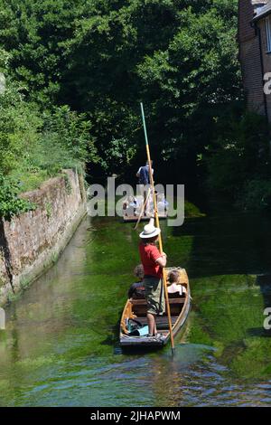 Touristen genießen eine Punt-Fahrt auf dem Fluss Stour in Canterbury, Großbritannien Stockfoto