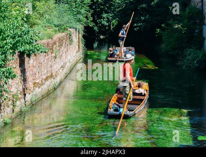 Touristen genießen eine Punt-Fahrt auf dem Fluss Stour in Canterbury, Großbritannien Stockfoto