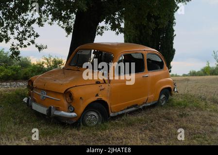 Ein alter rostiger oranger fiat auf einem Grasfeld vor einem Baum Stockfoto